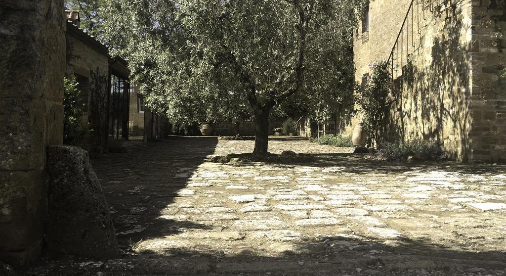 La Saracina Hotel Pienza Exterior photo